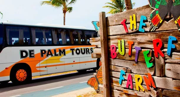 Vacaciones con garantía de calidad en Aruba