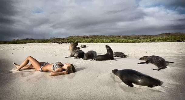 Galápagos nombrada una de las islas para descubrir este 2015