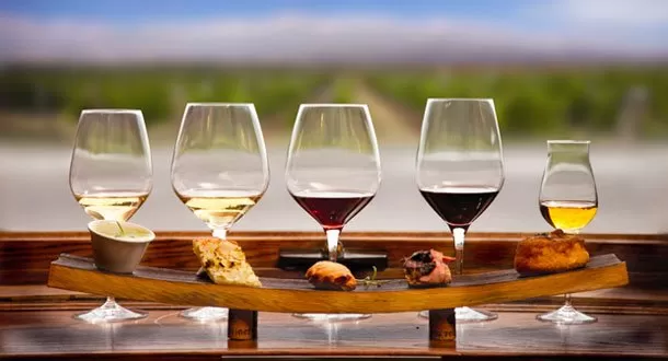 ¿Qué vino usar para acompañar cada comida?
