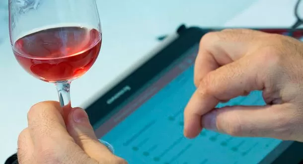 ¿Aficionado al vino?, estas son las bodegas que debes seguir en Twitter