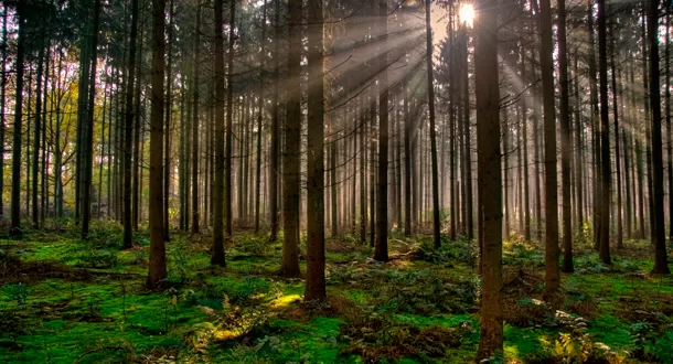 Científicos encuentran solución para salvar al planeta del calentamiento global