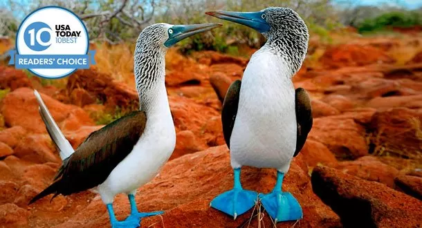 Las Islas Galápagos, nombradas Mejor Lugar de Vida Silvestre del mundo