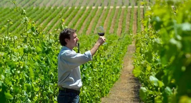Vino ecológico en FENAVIN