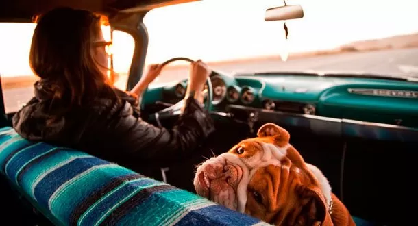 Estas son leyes que necesitas conocer si viajas en auto en el extranjero