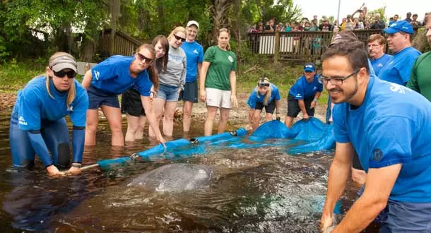 SeaWorld ha rescatado a más de 25.000 animales