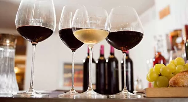 Todo sobre el Maridaje del Vino en 12 infografías