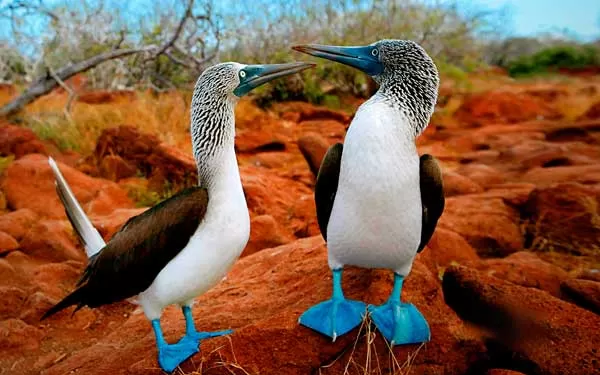INVITACIÓN “GALAPAGOS TRAVEL ROADSHOW”