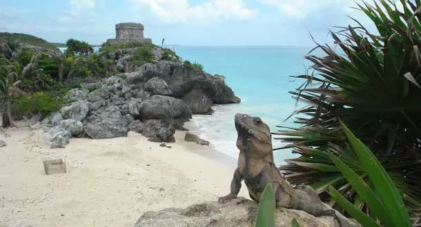 Conoce la belleza natural y los vestigios de la civilización maya en la Ruina Maya Tulum