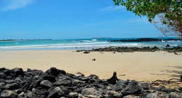 5 hermosas playas en las Islas Galápagos que debes visitar
