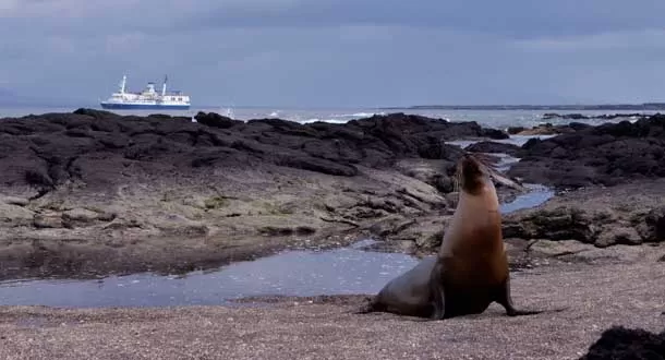 Galápagos nombrada la isla más bella del mundo por Travel + Leisure