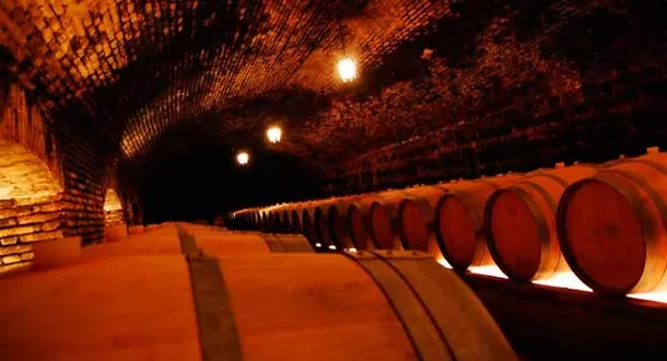Concha y Toro, es elegida la marca de vinos más poderosa del mundo