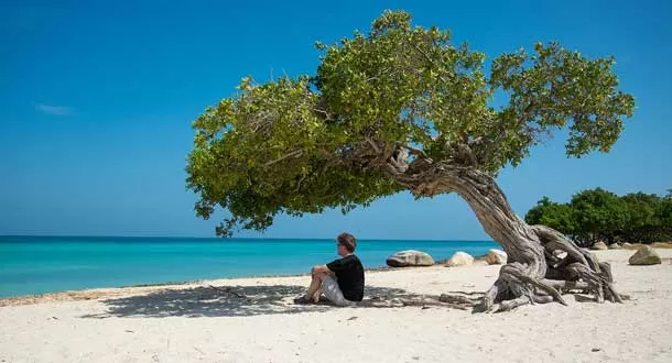 5 playas en Aruba que te harán querer dejarlo todo y tomar un avión