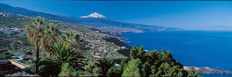La mayor red alemana de agencias de viaje, interesada en Tenerife