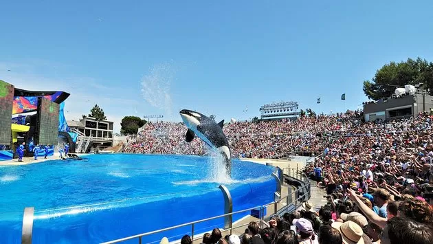 SeaWorld Updating Ticket Pricing Structure
