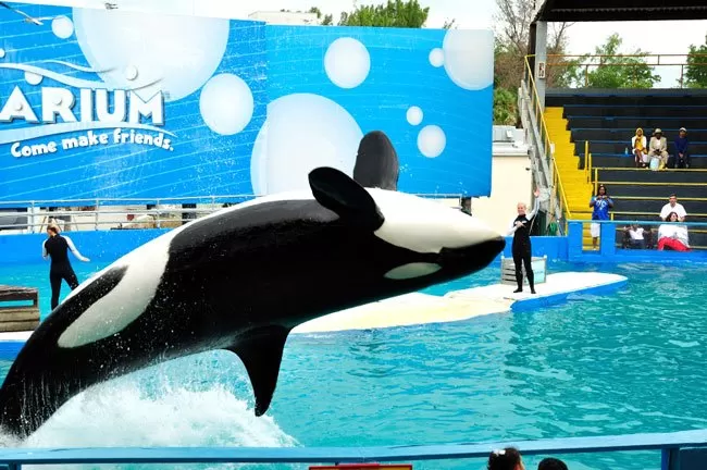 MIAMI SEAQUARIUM