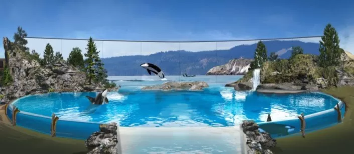 LA ULTIMA GENERACIÓN DE ORCAS EN «SEAWORLD»
