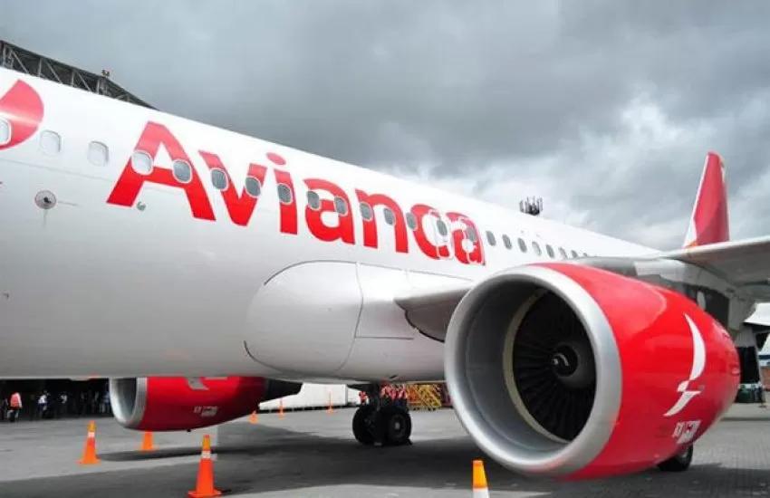 Avianca Argentina se asocia con Amadeus para su lanzamiento en la Argentina