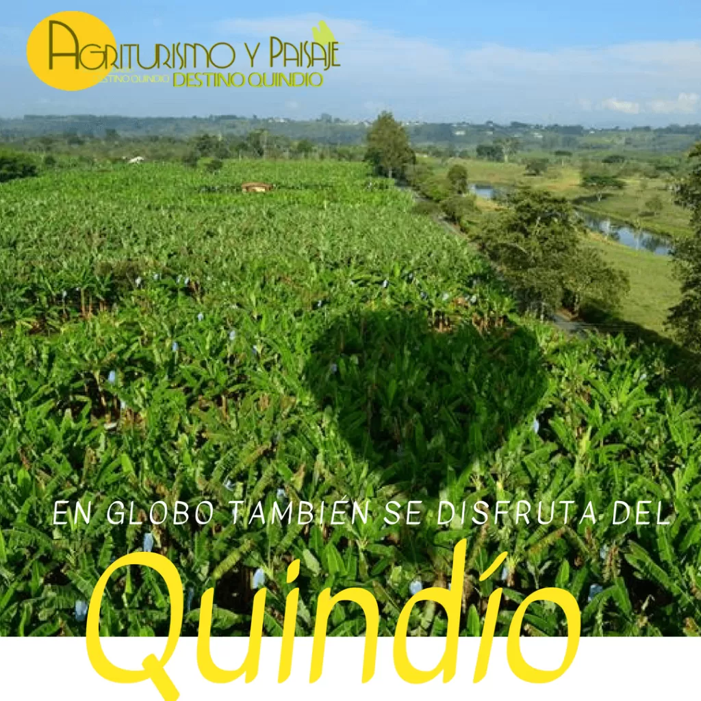 UN PASEO EN GLOBO PARA DISFRUTAR DEL PAISAJE QUINDIANO