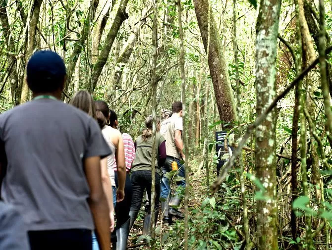 Situado en Brasil, uno de los más importantes acervos de arte a cielo abierto busca negocios con buyers de diversas partes del mundo