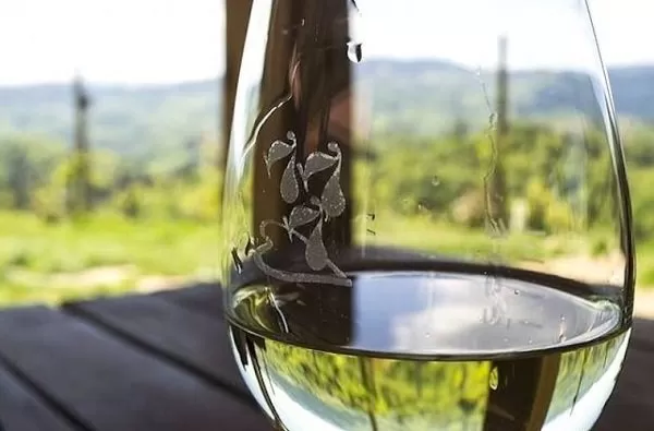La cosecha 2018 de rueda, calificada como muy buena