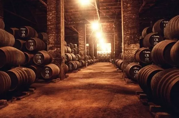 Valladolid será sede de un nuevo salón dedicado al enoturismo