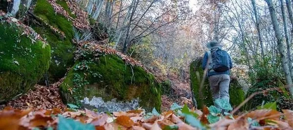 Lo último en senderismo: rutas, naturaleza y hongos