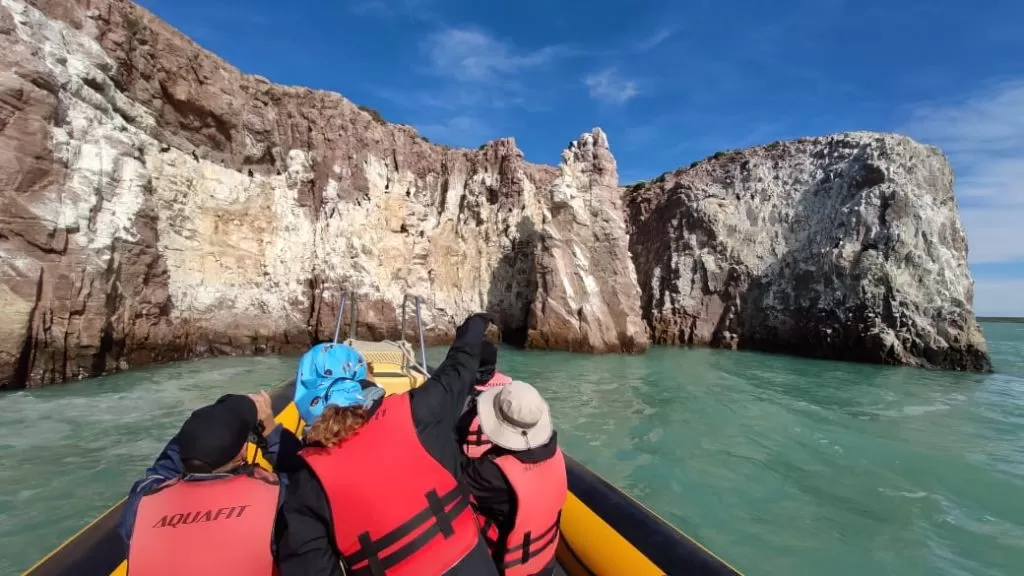 Arrancó la temporada de excursiones en Puerto Deseado
