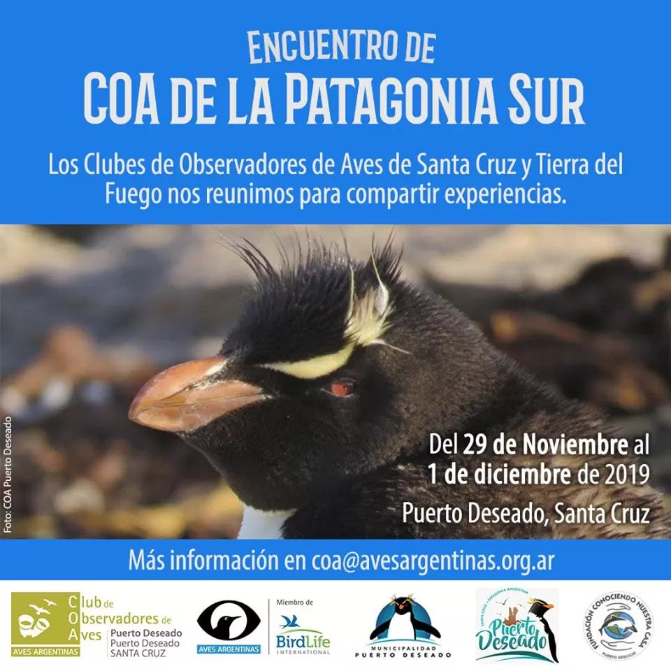 Puerto Deseado será sede de un nuevo encuentro de clubes de observadores de aves de la Patagonia Sur