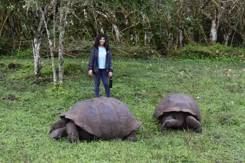 Galápagos prioriza el diagnóstico en las islas y el continente