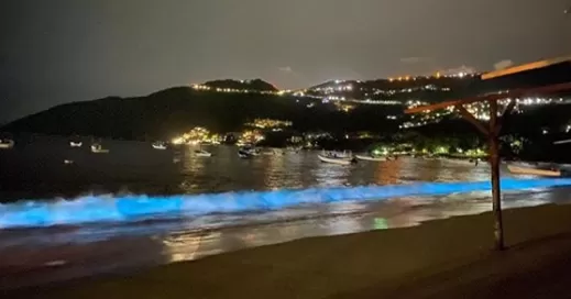 Acapulco, BIOLUMINISCENTE
