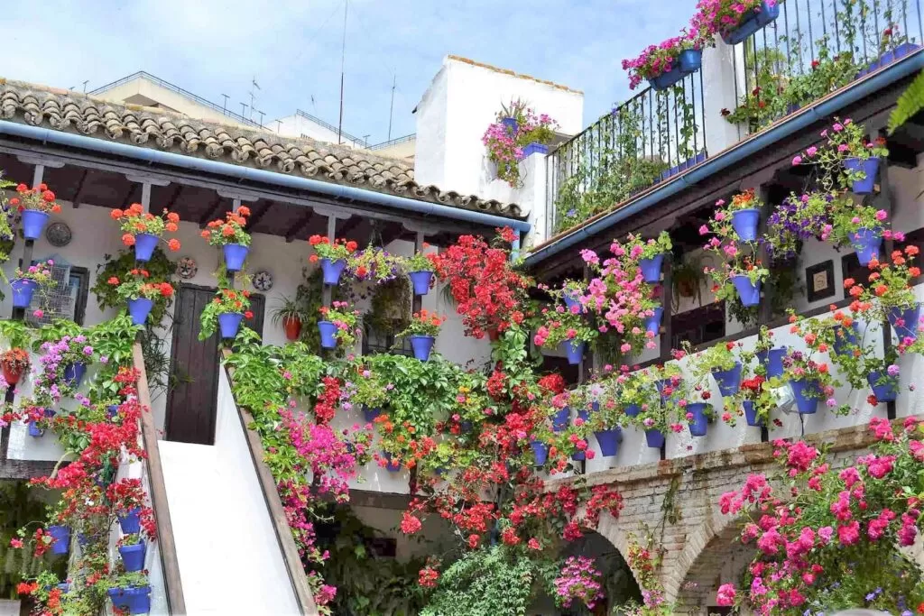 España.- Córdoba celebra la Fiesta de los Patios.