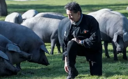 Florencio Sanchidrián imparte una jornada de montanera en una  de las pocas dehesas españolas declarada ‘bosque sostenible’