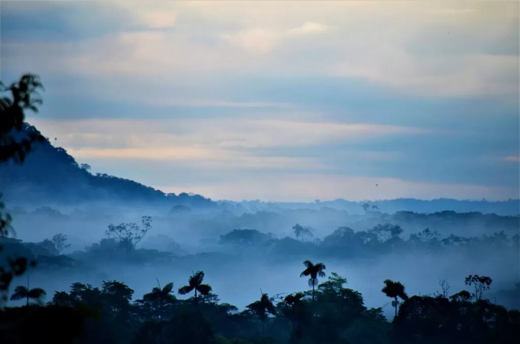 15 BENEFICIOS DE VENIR A ECOPARK EN LA AMAZONIA DE ECUADOR