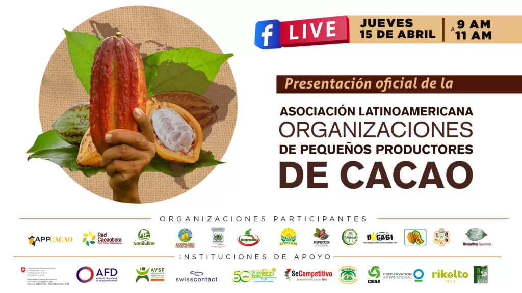 LA PRODUCCIÓN DE CACAO ALCANZA EL SIGUIENTE NIVEL EN LATINOAMÉRICA