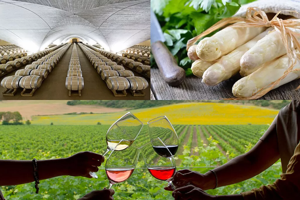 Pamplona celebra el IV Congreso Internacional de Turismo  Gastronómico, el sector que antes se recuperará de la pandemia