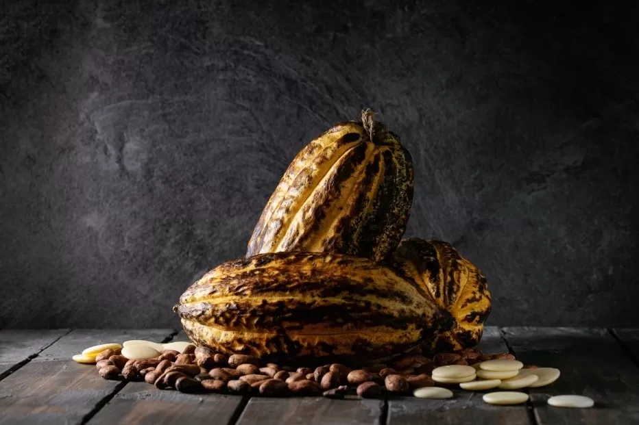 INTERNACIONAL DE CAFÉ, CACAO Y MUESTRA AGROTURÍSTICA