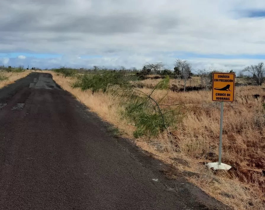 PRECAUCIÓN: CRUCE DE IGUANAS