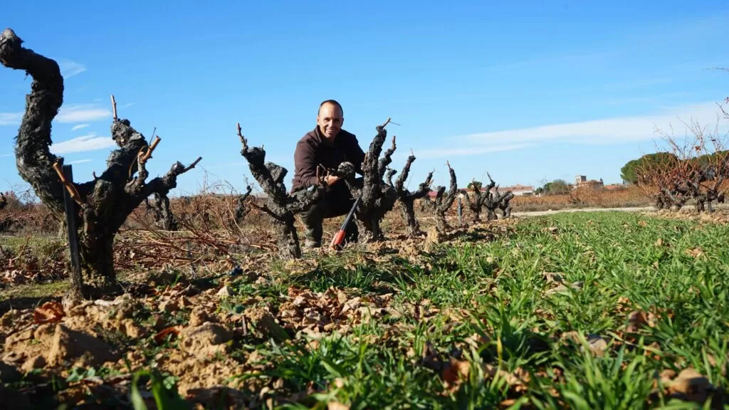Director de Viña Pedrosa, elegido como mejor viticultor según prestigioso master de vino