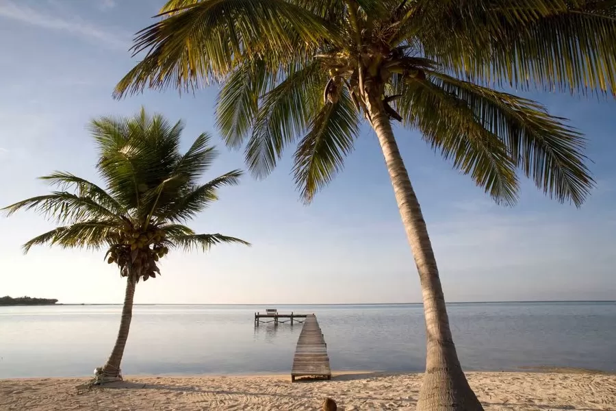 Visite Islas Caimán – Tres Islas, Un Destino