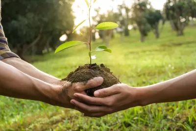 ESTRATEGIAS PARA HACER SU EMPRESA MÁS SOSTENIBLE Y AMIGABLE CON EL MEDIO AMBIENTE