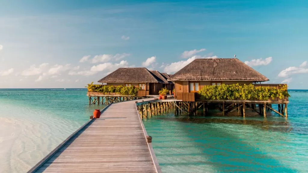 NEW REPORT FROM WTTC ANALYSES CRITICAL FACTORS FOR HOTEL INVESTMENT POST PANDEMIC
