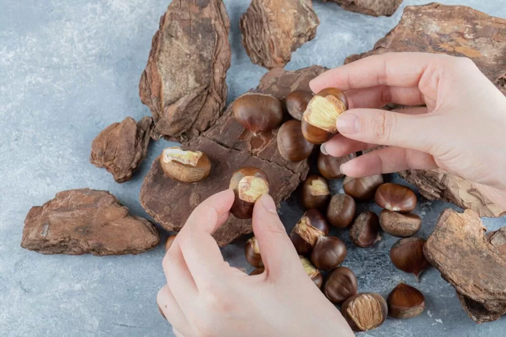 Las castañas, mucho más que un alimento saludable