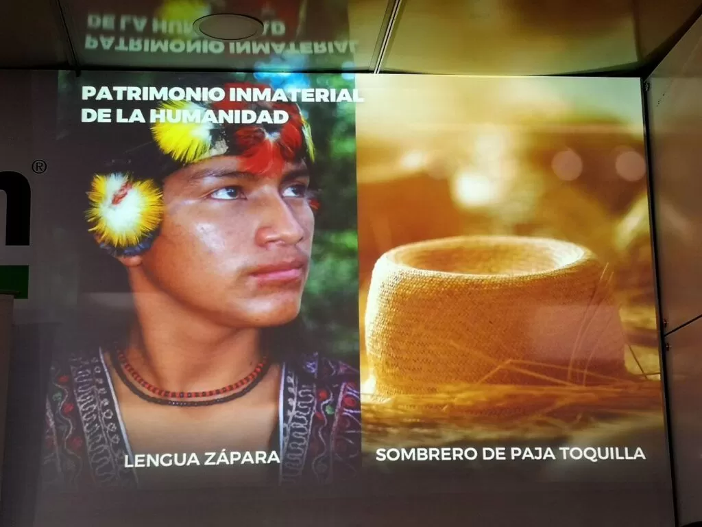 WTM Latin America realizará debates sobre sostenibilidad, inclusión y diversidad