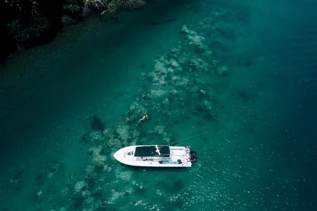 Golfito: punto de encuentro de las ballenas