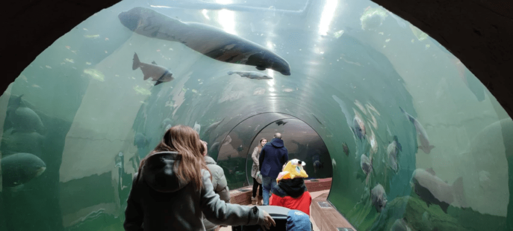 Faunia Madrid: Un día perfecto en familia