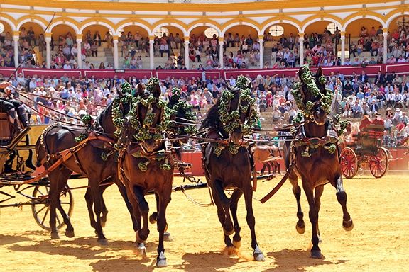 XXXVIII EXHIBICIÓN DE ENGANCHES DE SEVILLA 2024