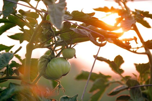 FiturNext anuncia su Reto 2025: cómo el turismo puede contribuir a la gestión sostenible de los alimentos