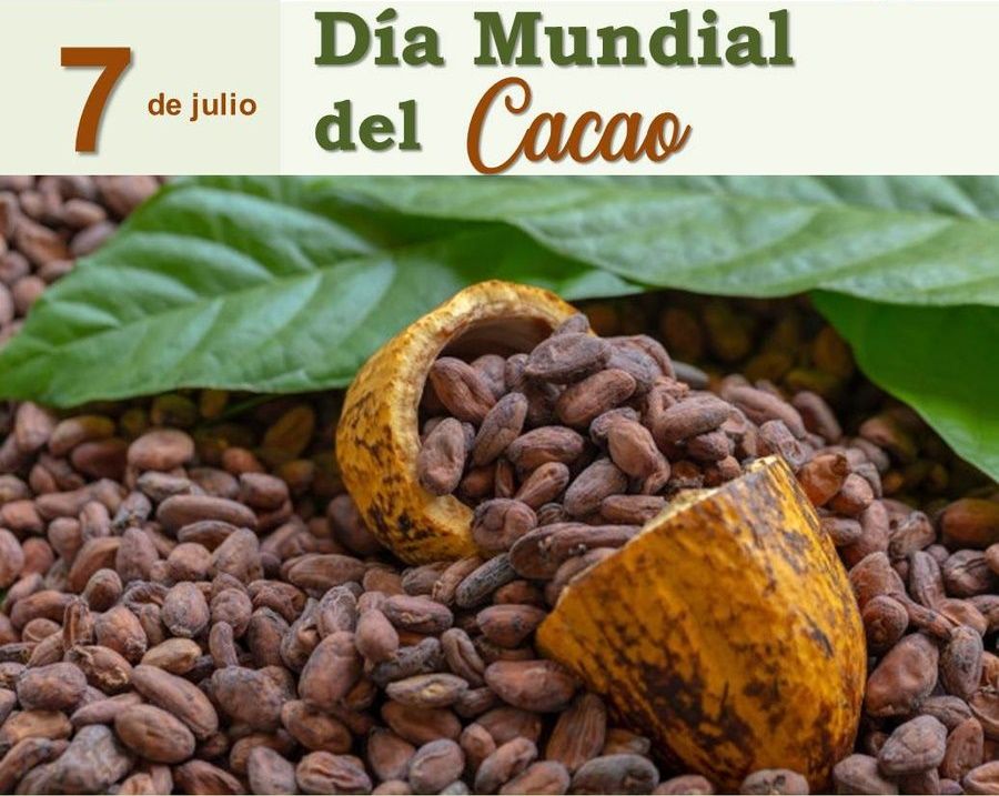 Día Mundial del Cacao 2024