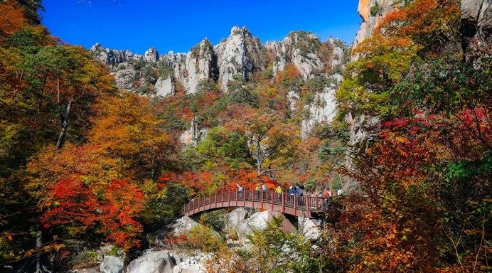 Los 5 mejores destinos y festivales de otoño con más encanto en Corea del Sur