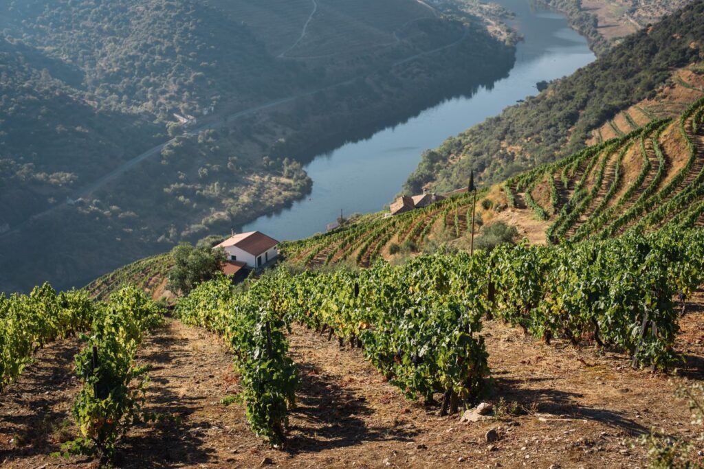 Portugal, el mejor destino para los amantes del vino